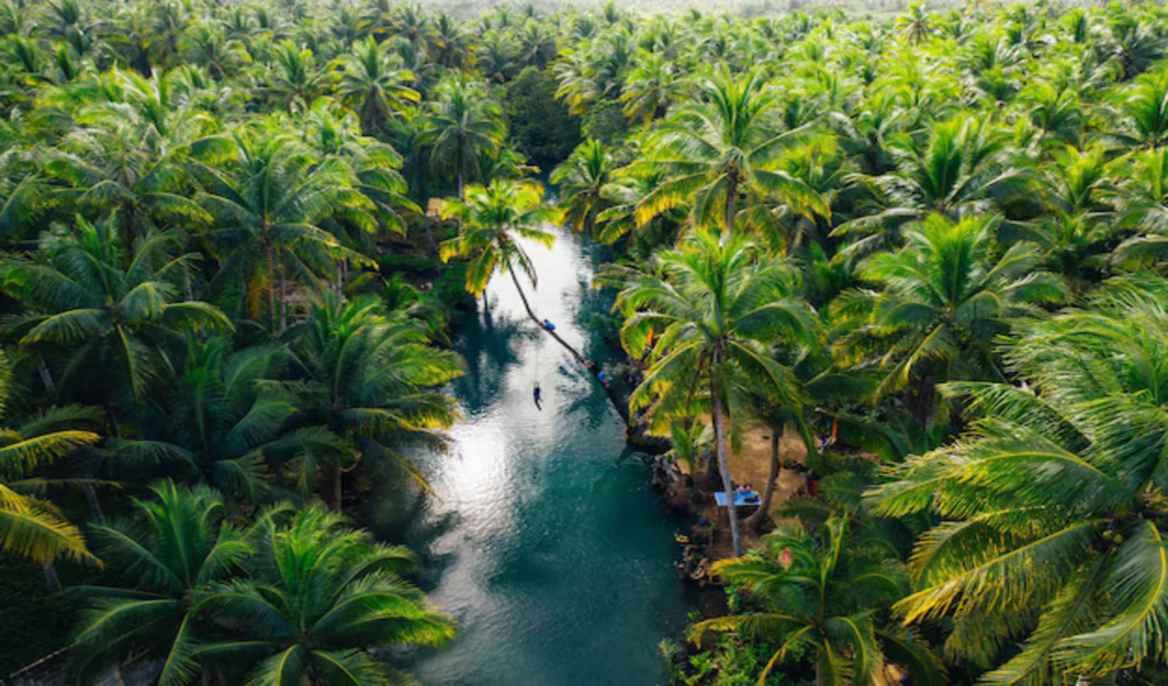 Kerala Hill and Backwater Retreat