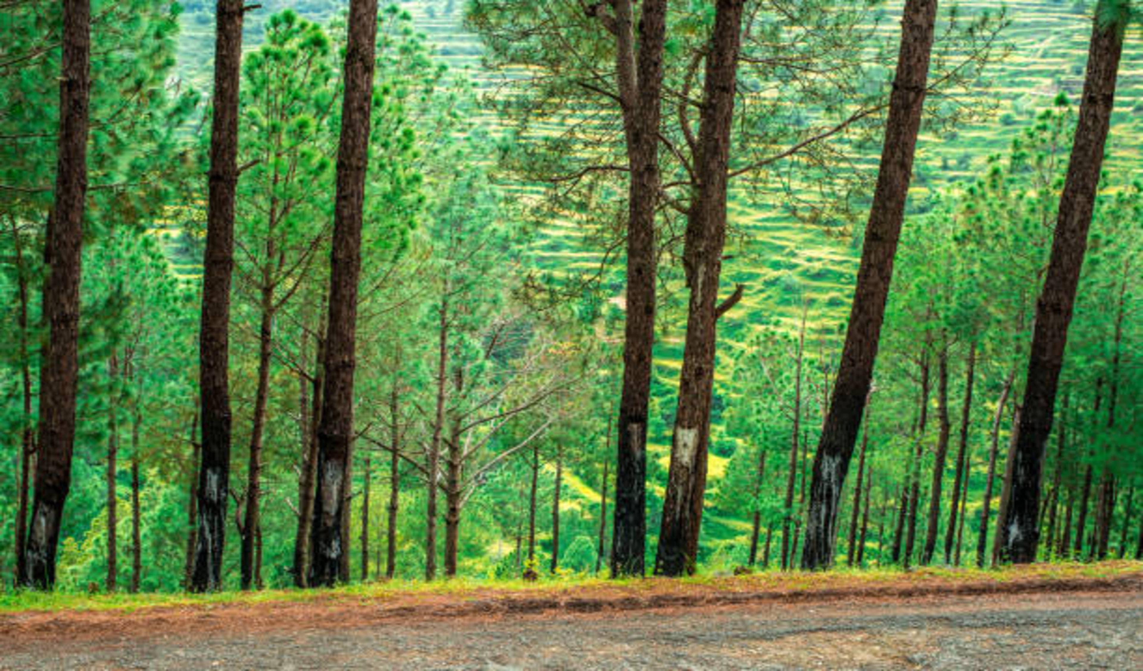 Valley Of Peace