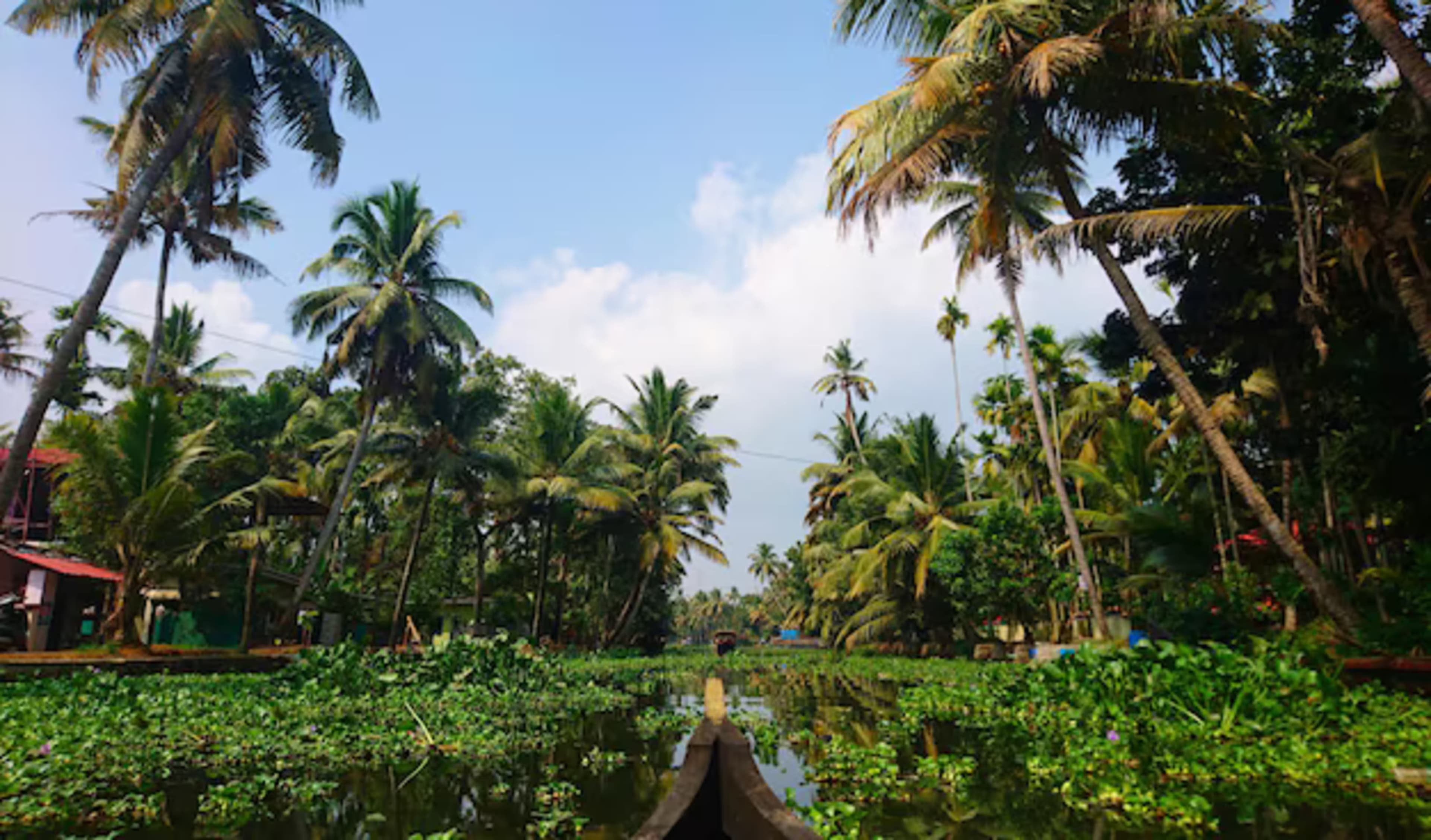 Wayanad  Explorer