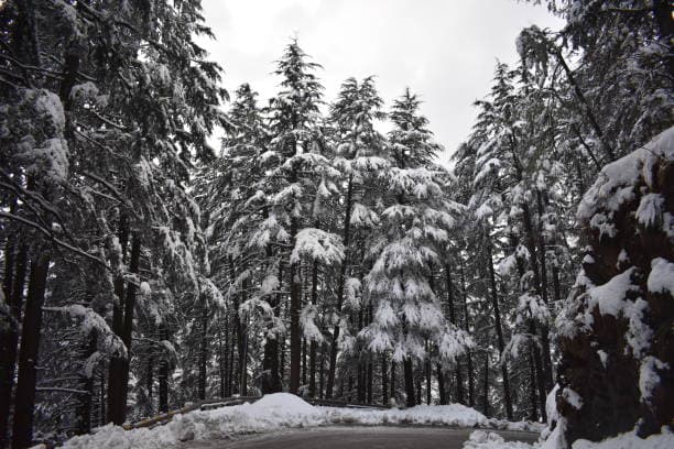 Mini Himachal Retreat